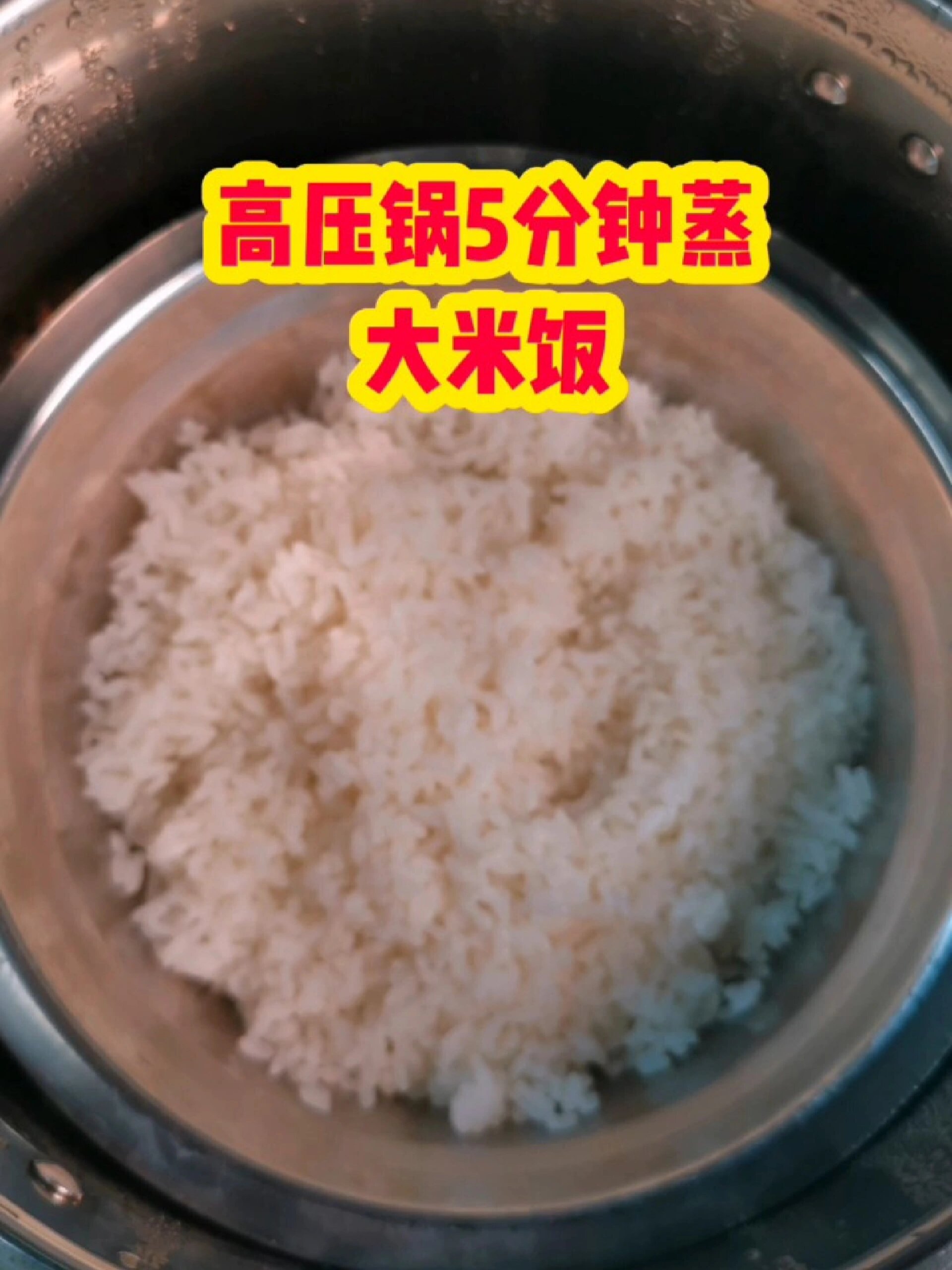 高压锅5分钟蒸大米饭 蓬松宣软 太好吃了