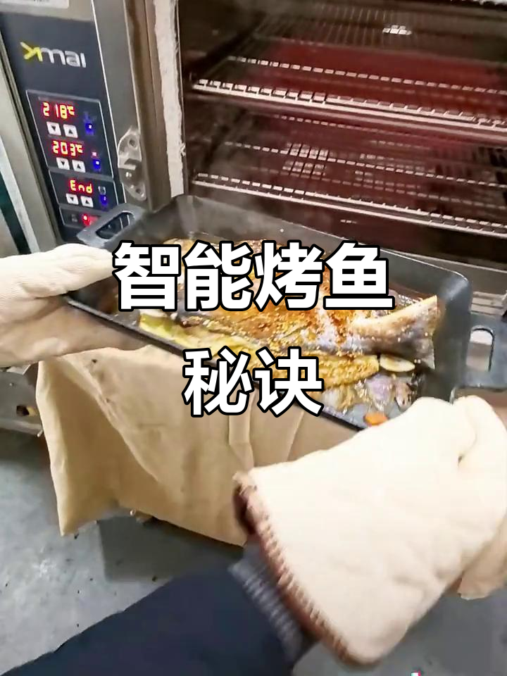 告别烤鱼难题,智能炉让你轻松掌握三分熟度与先煎后烤技巧
