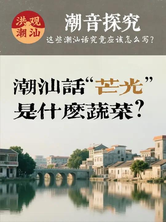 潮音探究（八）潮汕话“芒光”究竟是什么？