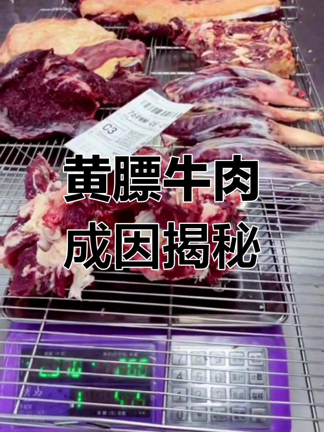 呼伦贝尔草原黄膘牛排的独特风味