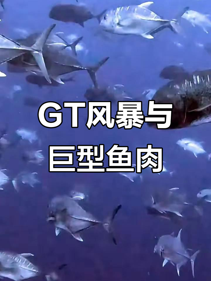 贝里硫岛的GT风暴:粗扁鱼变巨型美味,钢铁色泽让人惊艳