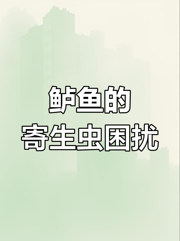 鲈鱼寄生虫问题,化妆也难掩烦恼