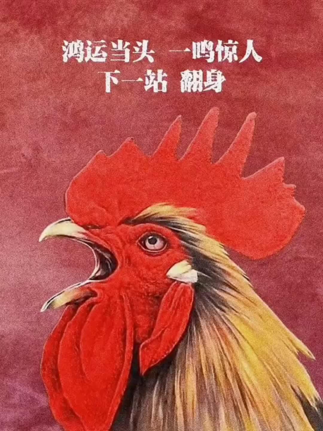 一鸣惊人,雄鸡报晓。原创作品 感受国画的意境之美 花鸟画 国风古韵 韩金远