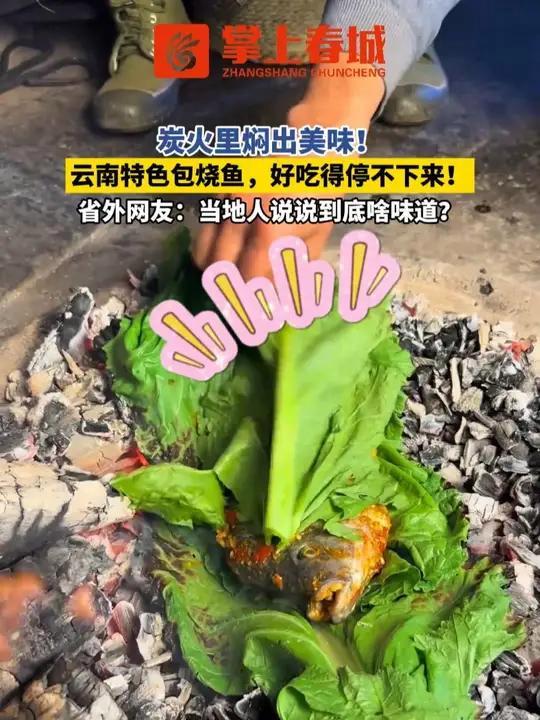 炭火里焖出美味！云南特色包烧鱼，好吃得停不下来！省外网友：当地人说说到底啥味道？#烧烤 #
