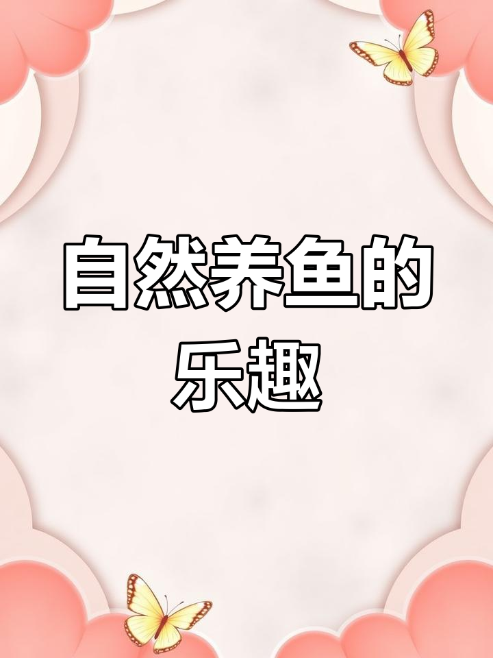 老郭的白鲢鱼,天然养殖,亲手捕捞,乐趣无穷!