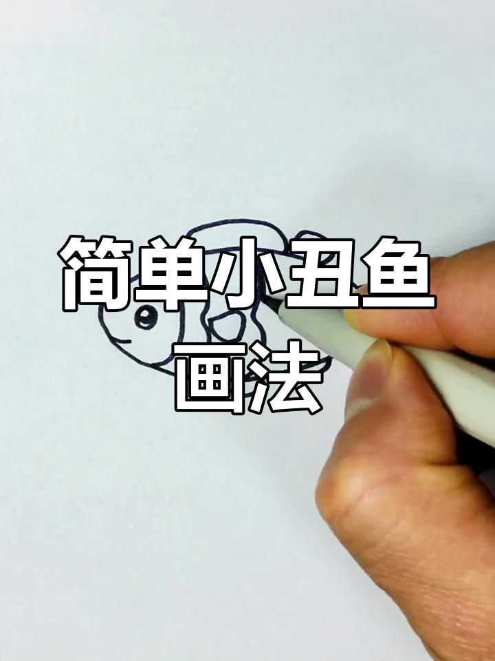 小丑鱼简笔画教程,轻松学会画可爱海洋生物