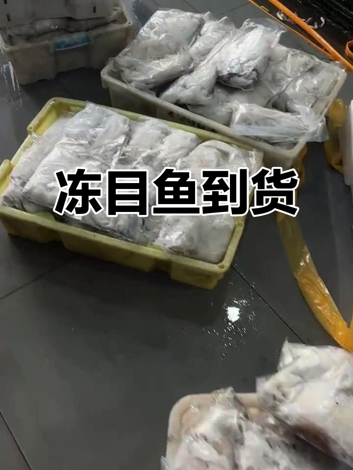 一车船冻目鱼到货,萌态十足超可爱