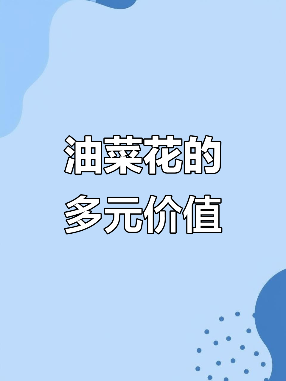 油菜花不仅滋养食物,还美化环境、促进生态与文化传承