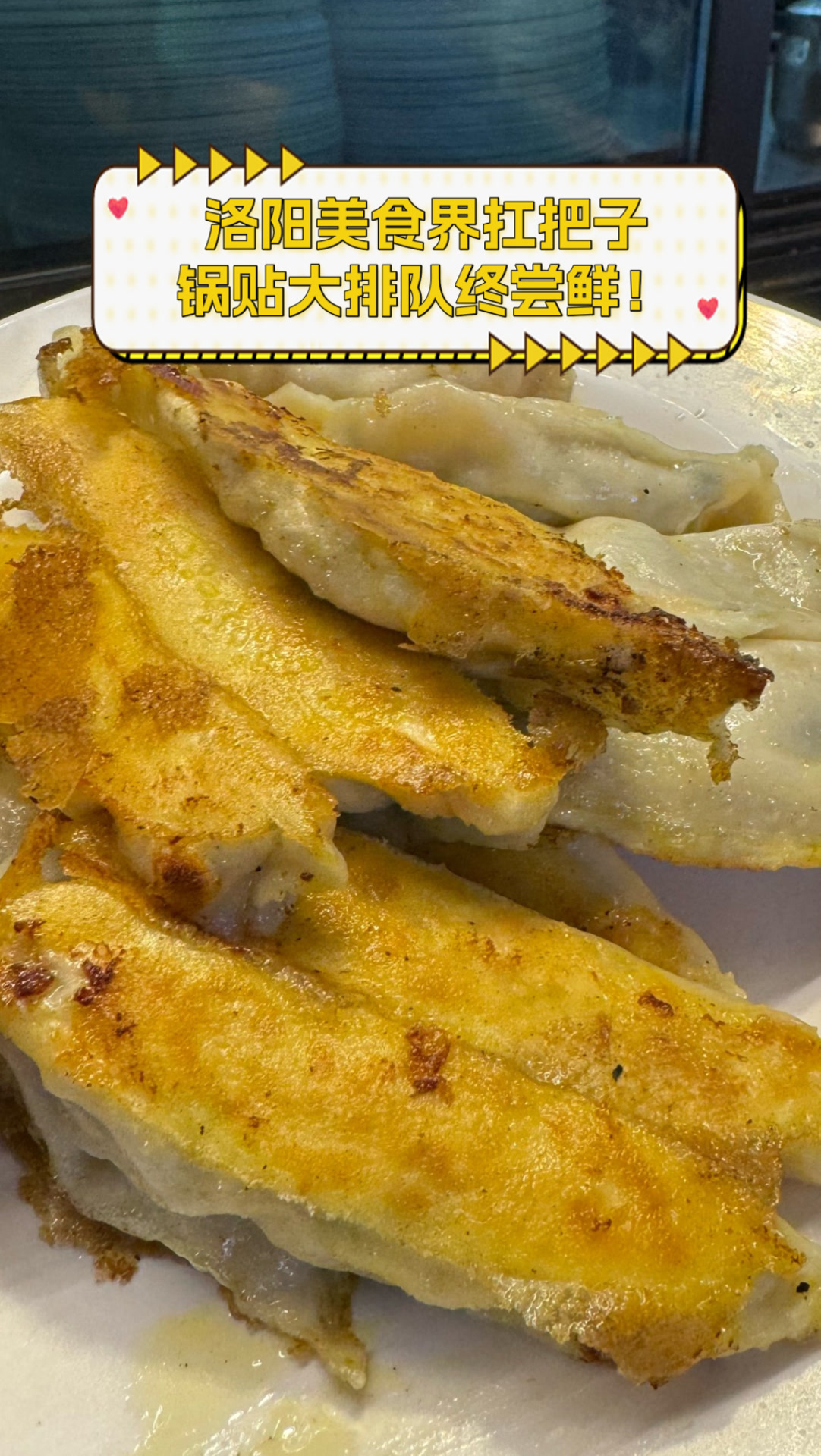 洛阳美食界扛把子,锅贴大排队终尝鲜!