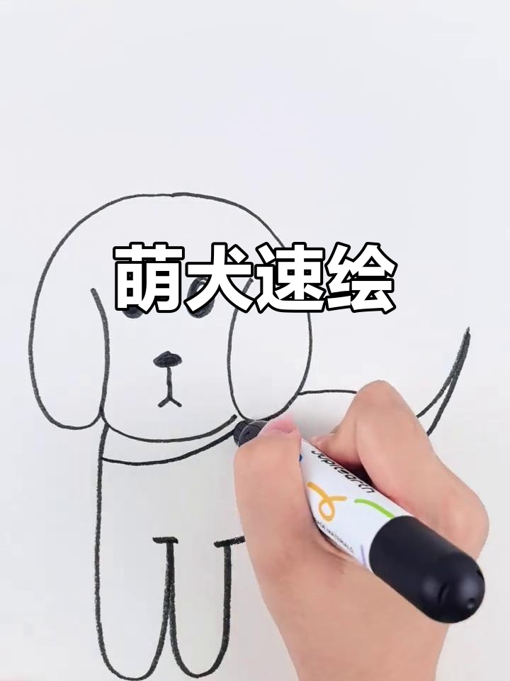 用线条勾勒出一只萌萌的小白狗,简单又讨喜!