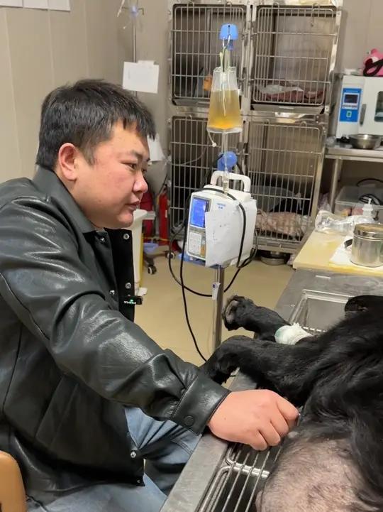 这条视频的文案犹豫了好久不知道怎么写，想和大家说好多话，又怕说深了大家难过，说浅了显得不真