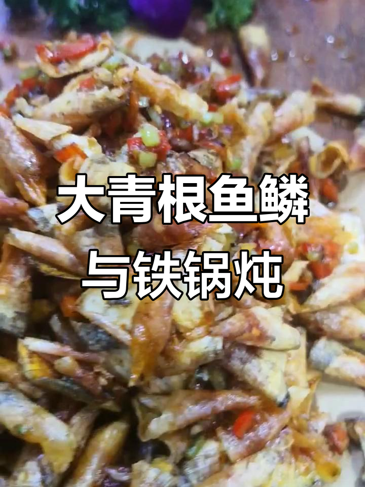 罕见50斤大青根鱼鳞,硬菜满满一桌!