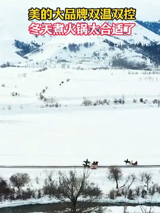 6升大容量 鸳鸯电火锅双温双控,美的大品牌品质放心,冬天煮火锅太合适了!多功能电煮锅鸳鸯锅