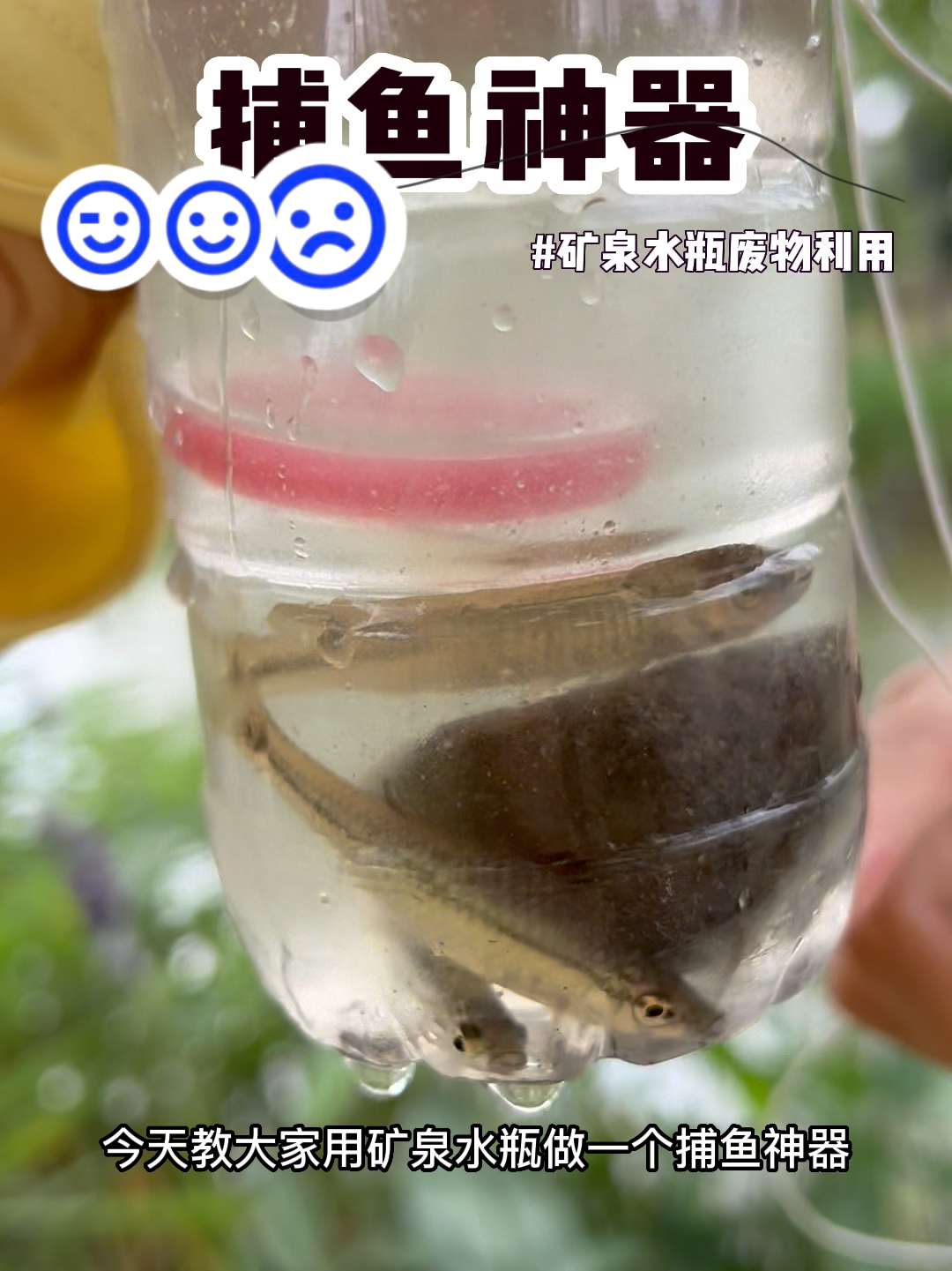 一个矿泉水瓶,抓鱼回回不落空!神器!