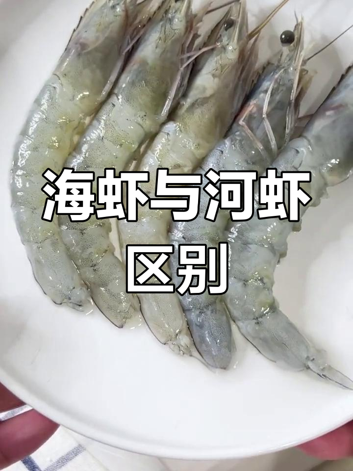 别再被忽悠!海虾和河虾的区别,吃错了可就亏了