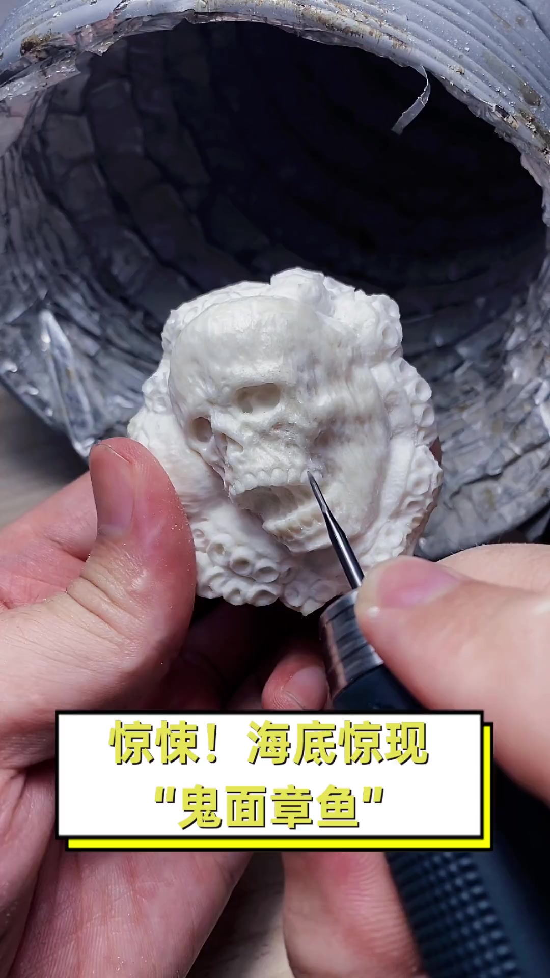 惊悚!海底惊现“鬼面章鱼”