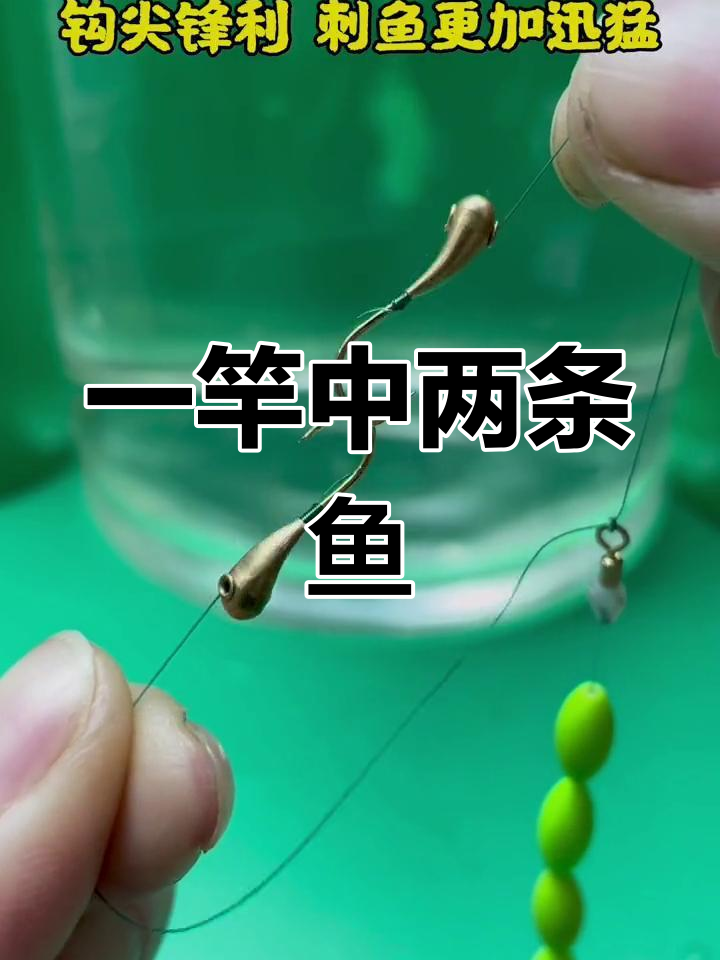 传统钓双尾鱼技巧,七星漂与朝天钩完美搭配