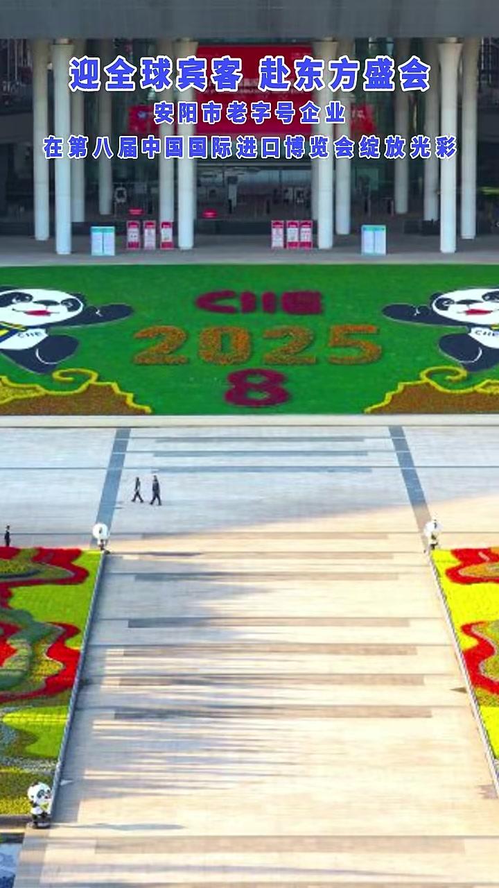 安阳老字号企业在第八届中国国际进口博览会绽放光彩 安阳 老字号 道口烧鸡 黄塔膏药 进博会