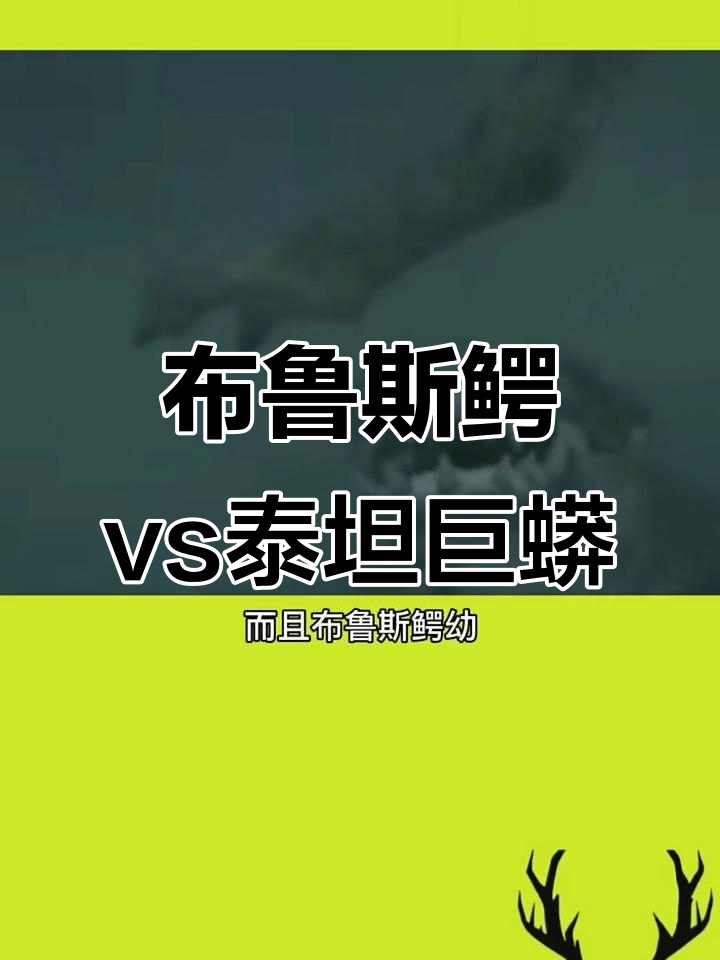 布鲁斯鳄与泰坦巨蟒的远古对决:谁才是真正的食物链王者?