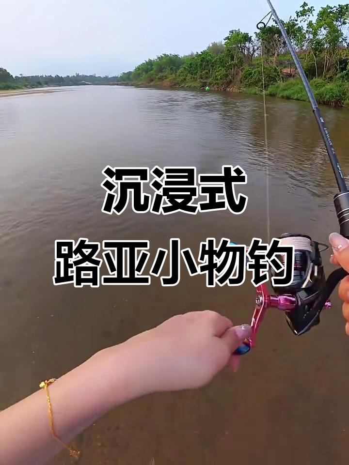海南溪流钓鱼大丰收,白条马口接连上钩!