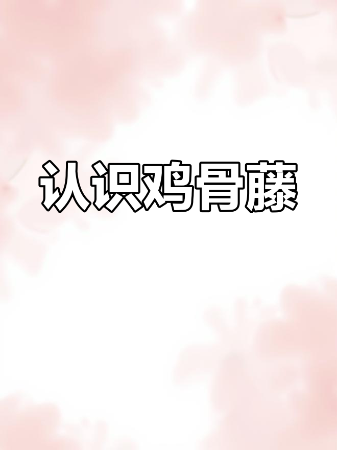 鸡骨藤:农村常见攀爬植物,了解它的生长与用途