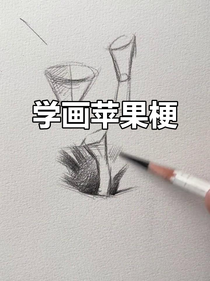 苹果梗素描技巧大揭秘,轻松画出立体感