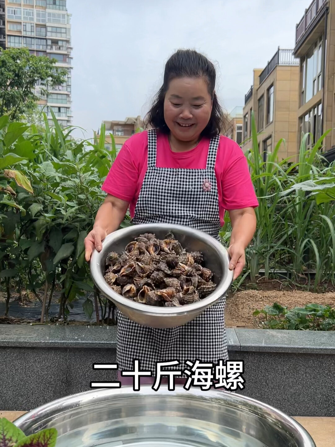 海螺的做法