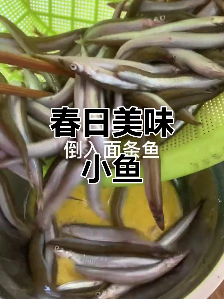 春季面条鱼,香脆可口,外酥内嫩,零食新选择!