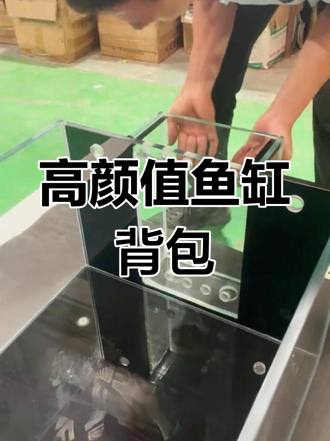 鱼缸背包:过滤与美观兼得