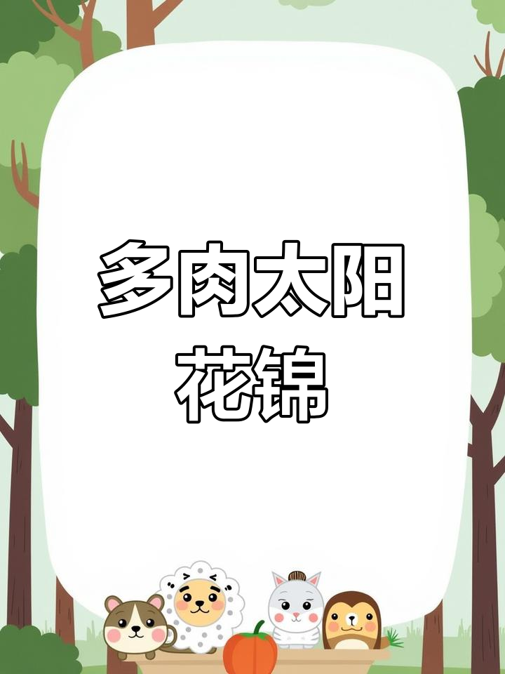 太阳花锦多肉植物:越晒越红,花朵绽放美丽