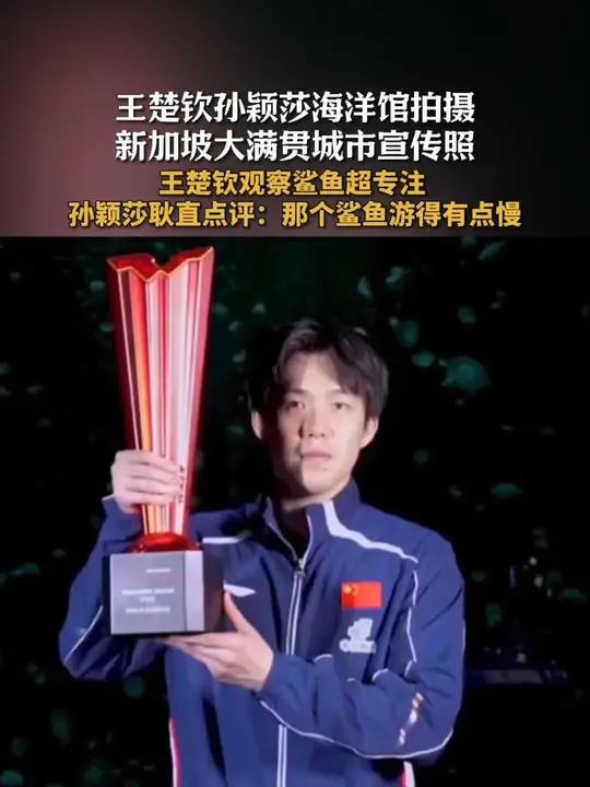 王楚钦孙颖莎海洋馆拍摄新加坡大满贯城市宣传照 王楚钦观察鲨鱼超专注 孙颖莎耿直点评:那个鲨