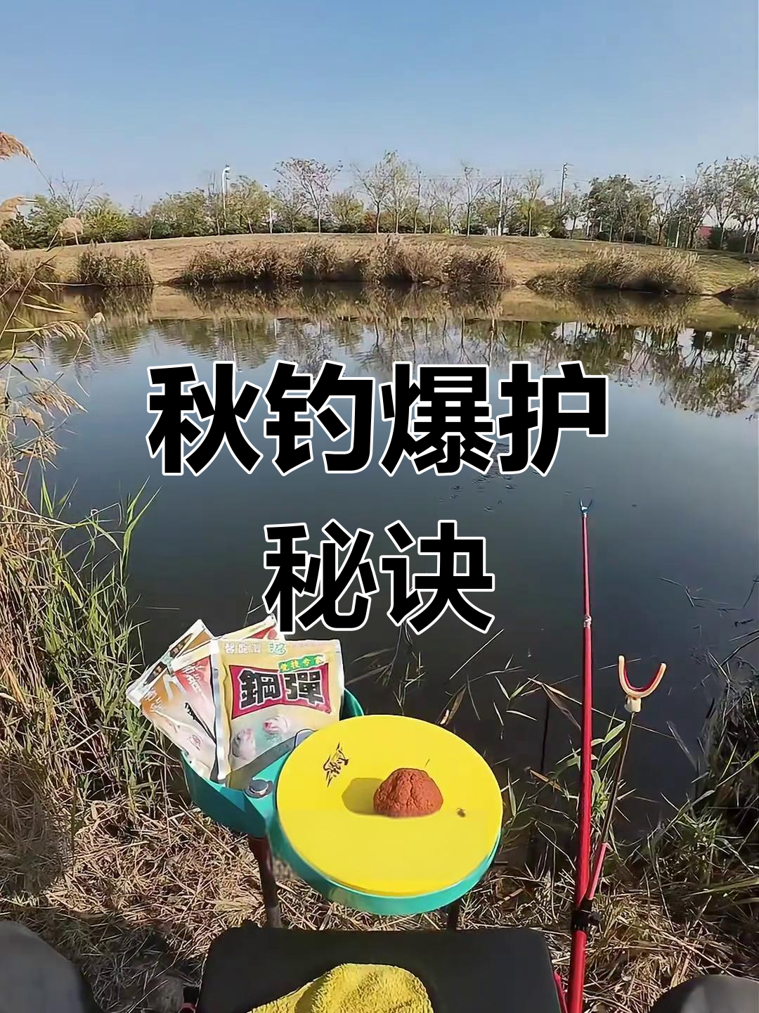 秋季野钓最强搭配,钢蛋2+4号鲫饵轻松捕获大鱼!