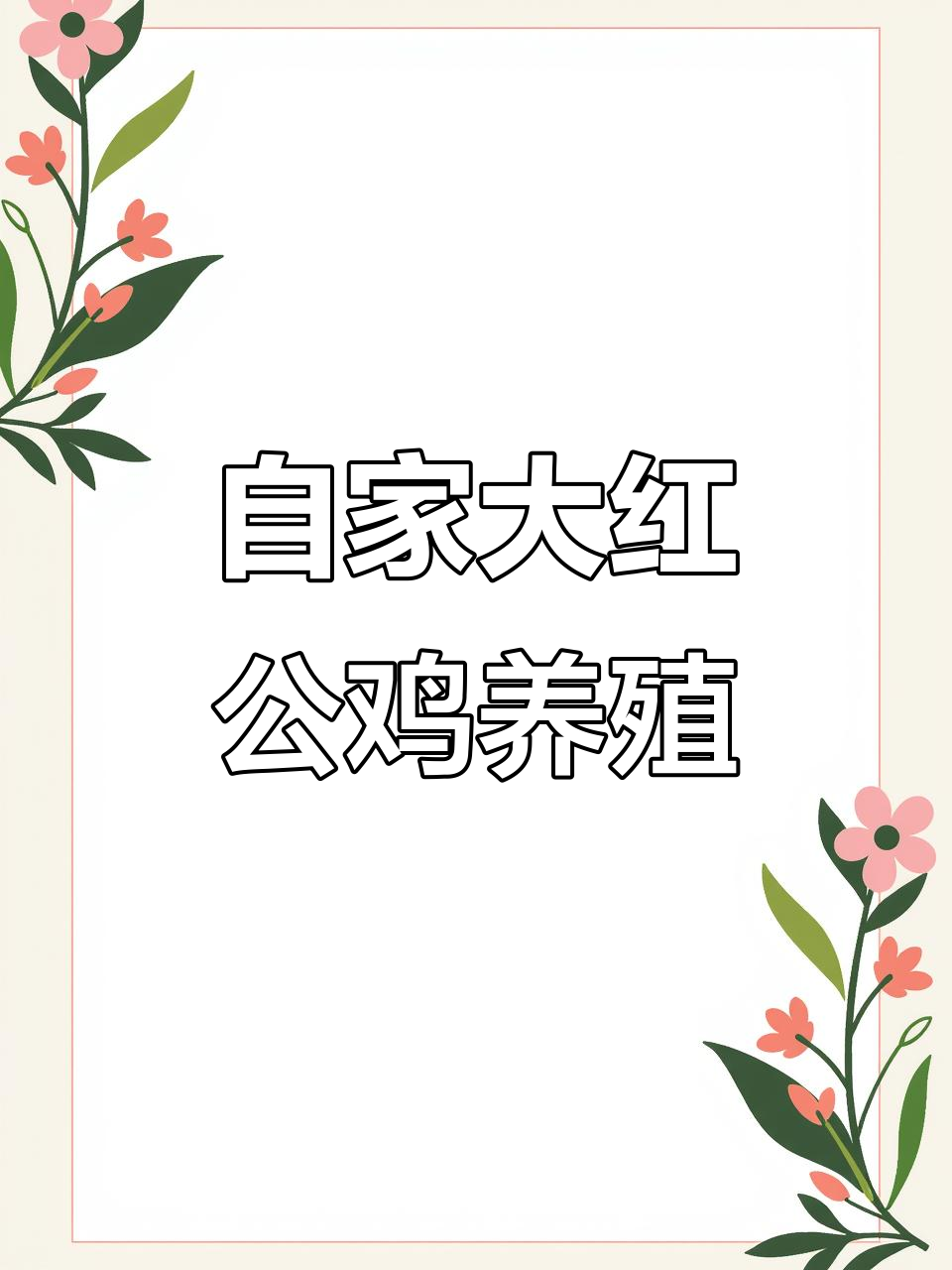 大红公鸡养殖日常,绿色黄菊竿与四个小燕的趣事