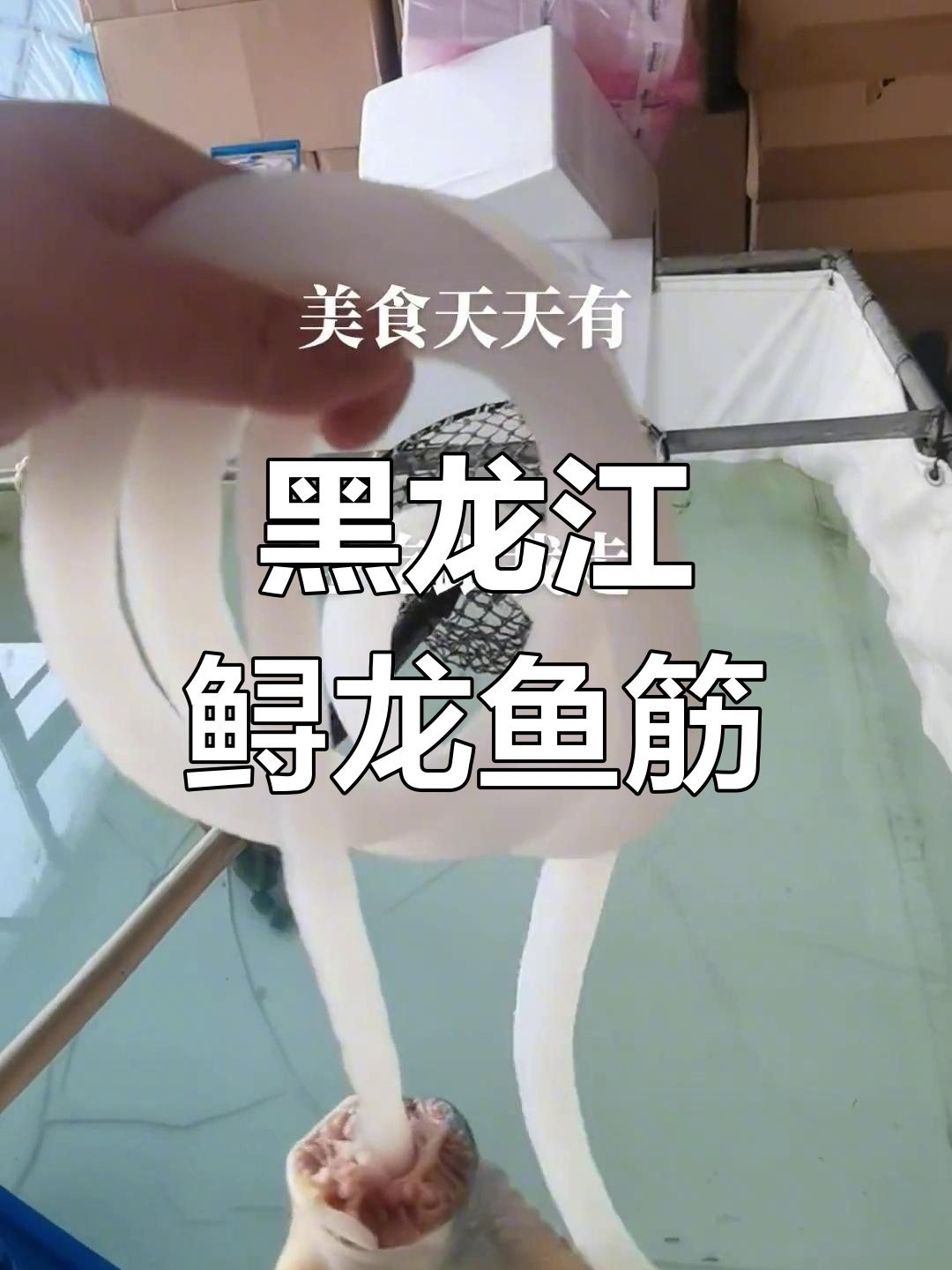 黑龙江鲟龙鱼筋:脆骨满满,口感超赞
