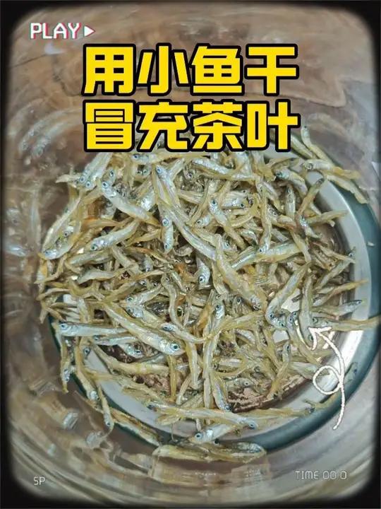 用小鱼干冒充茶叶给魏哥喝