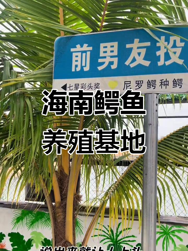 海南东方鳄鱼小镇:网红打卡地,六万只巨兽等你挑战