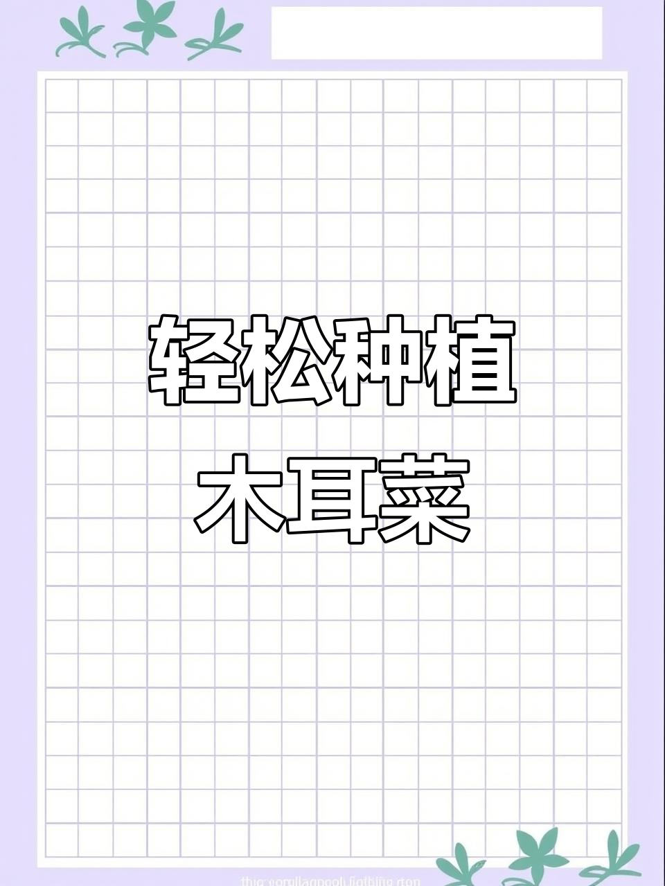 阳台种木耳菜，简单又美味！教你快速出芽和养护技巧
