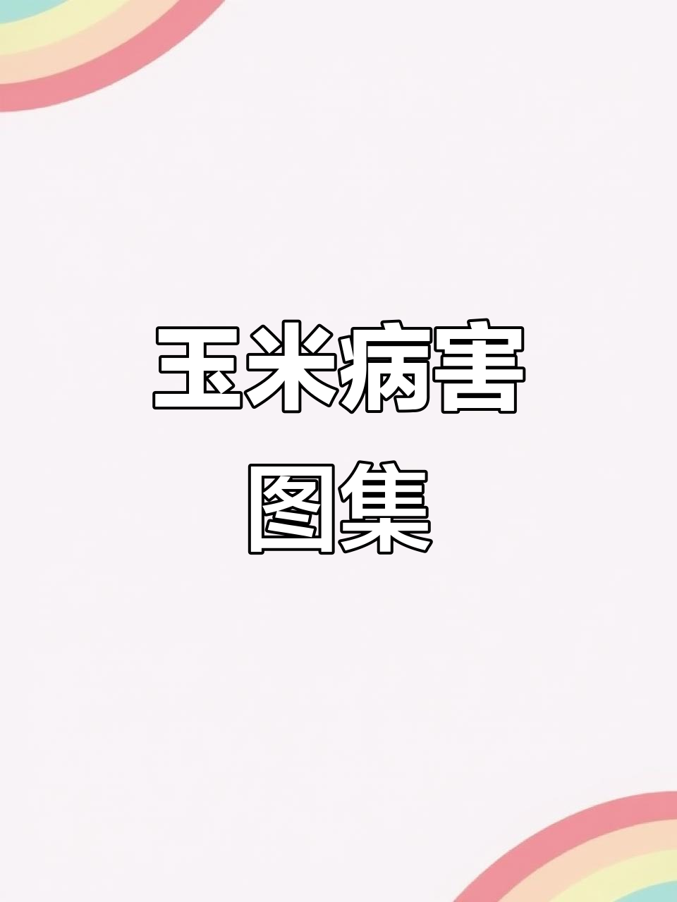 玉米病害全解析:症状、原因与防治方法