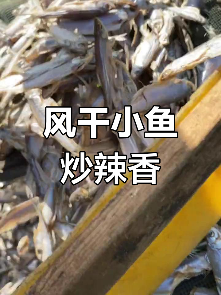 安徽野生小河鱼干,风干七七四十九天,炒辣椒香气扑鼻