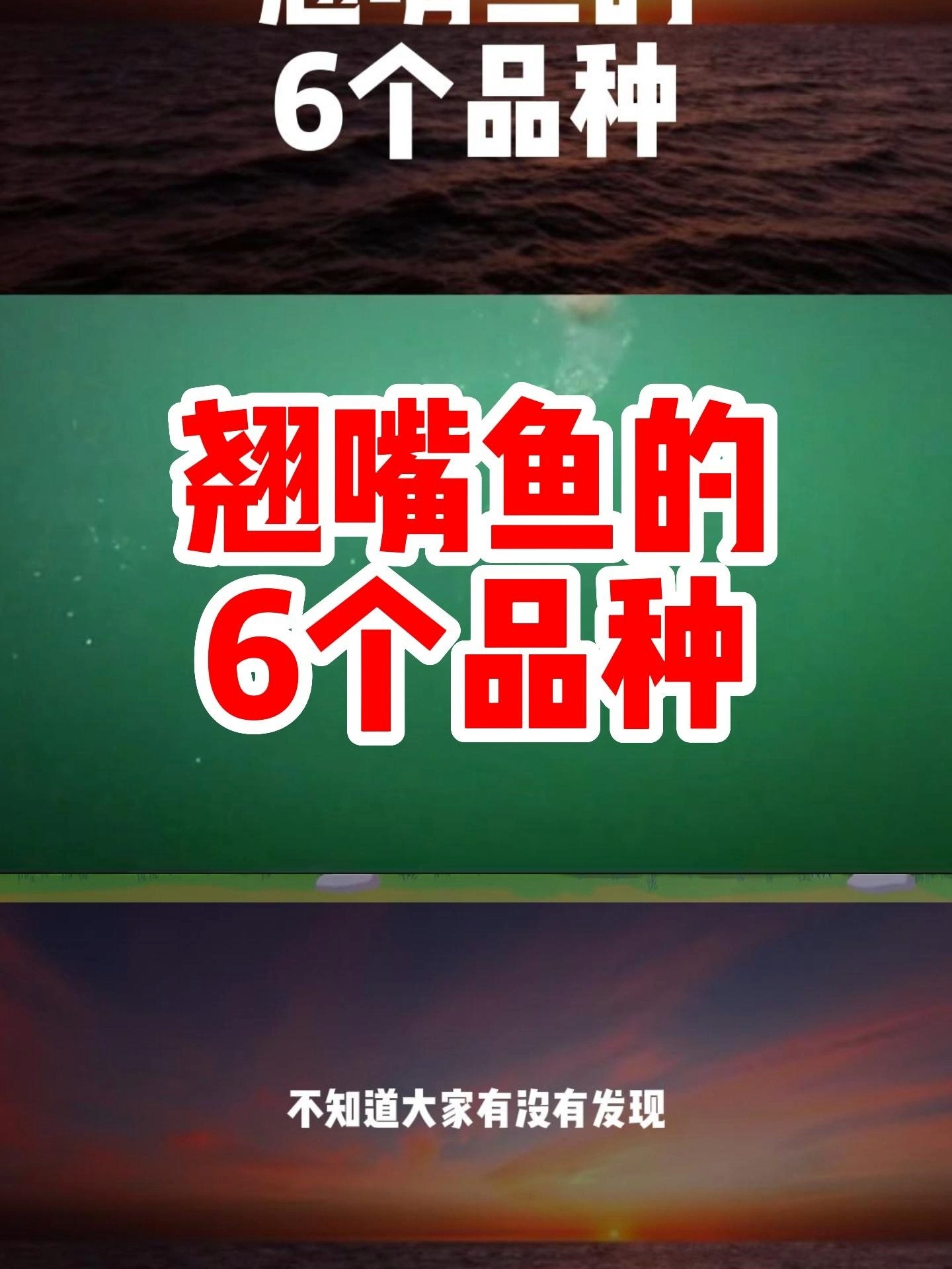 翘嘴鱼的6个品种
