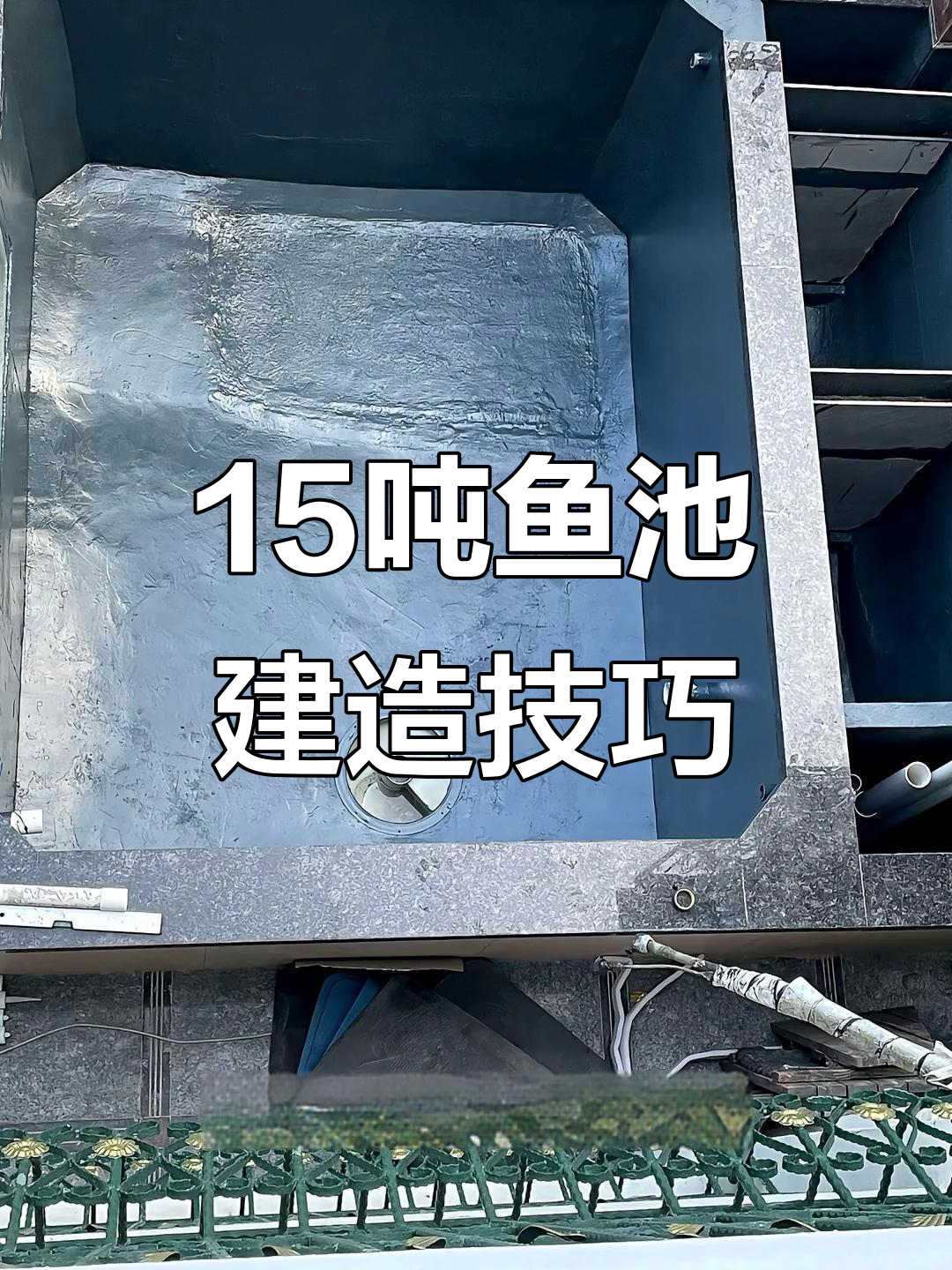 15吨鱼池建设全攻略：从过滤到养水的每一个细节