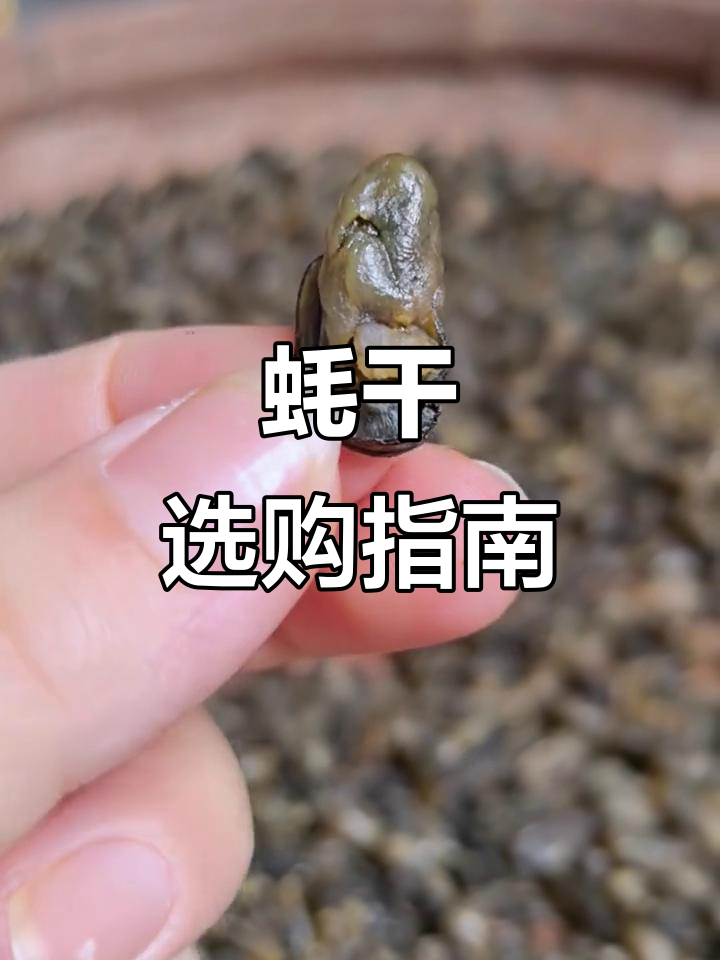 金蚝与普通蚝干有何不同?煲汤选哪种更合适呢?