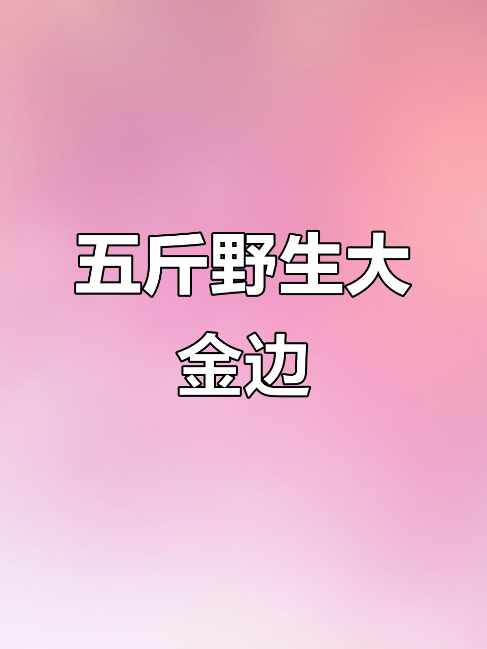 东北野生大金边鱼，五斤多活货来袭！