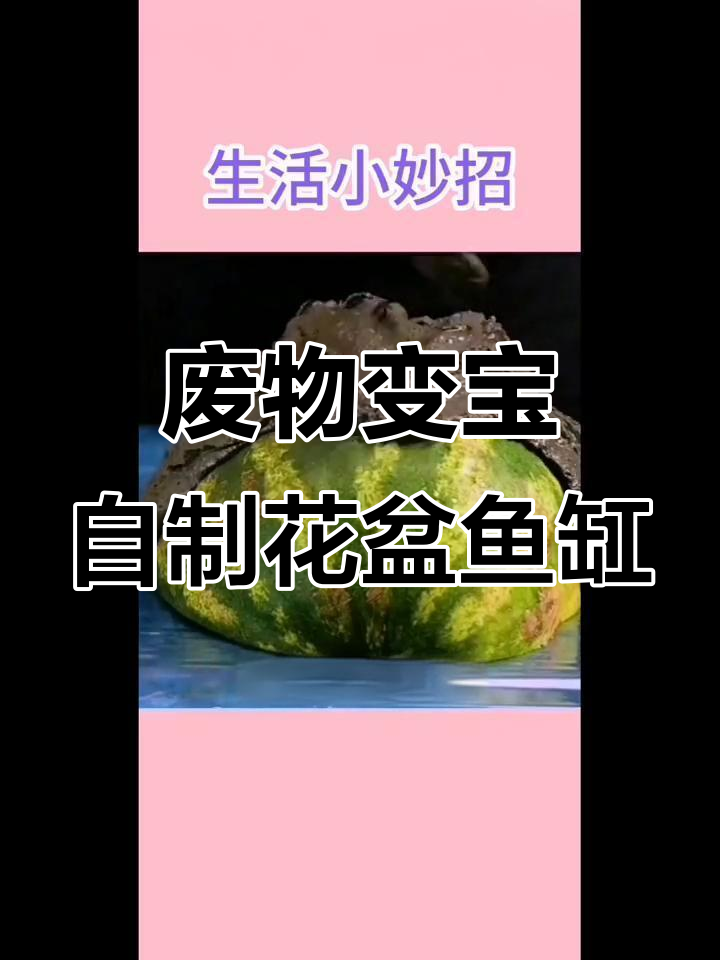 利用废旧南瓜和水泥,打造创意花盆鱼缸