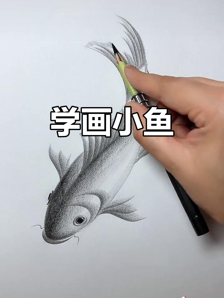 简单几笔画出可爱鱼儿，零基础也能轻松学会