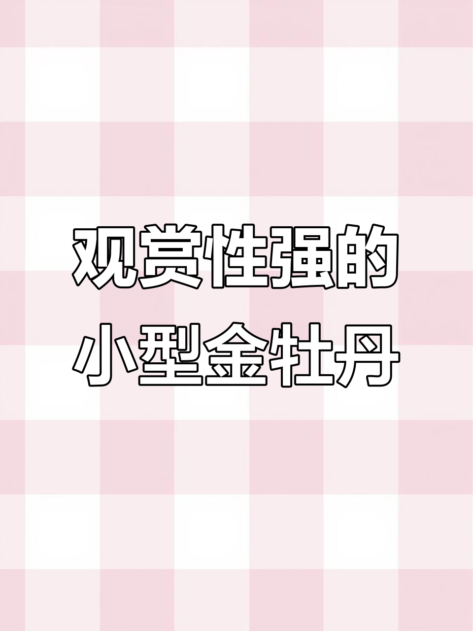 金牡丹鱼：温顺耐养，小型热带鱼的理想选择