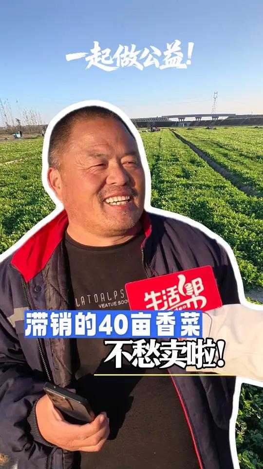 山东德州市临邑县牛角店村菜农王先生种植40亩香菜,本来和采购商约好上门收购,但对方却失约了