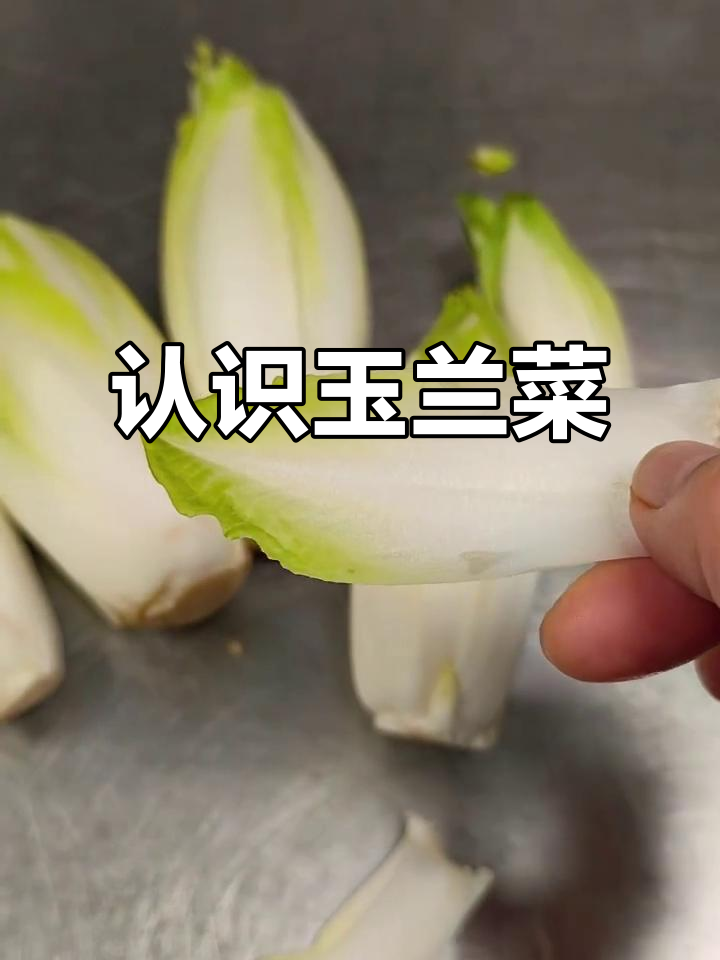玉兰菜:一种苦脆生菜的独特风味