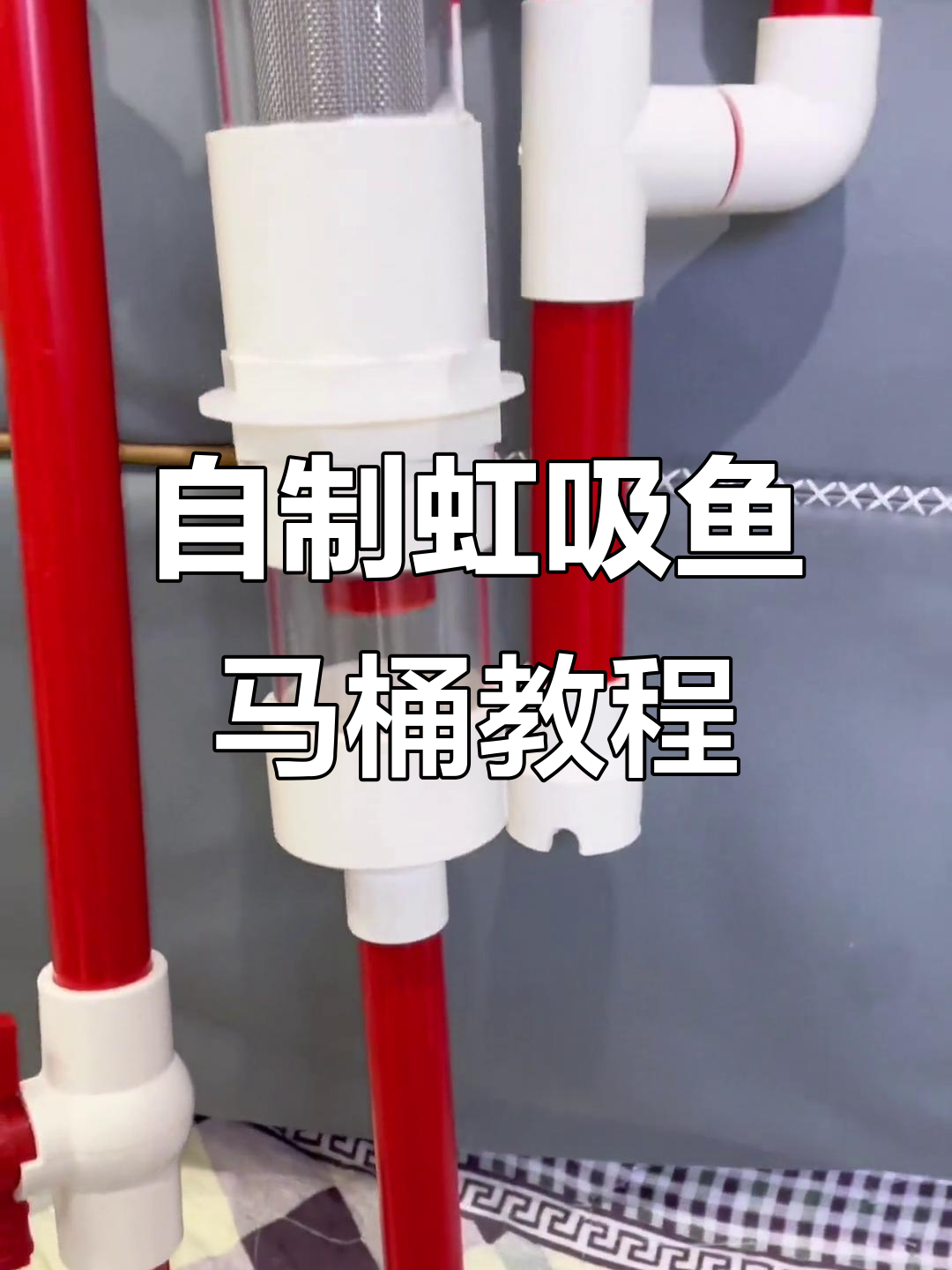 虹吸鱼马桶制作全攻略,轻松打造高效过滤系统