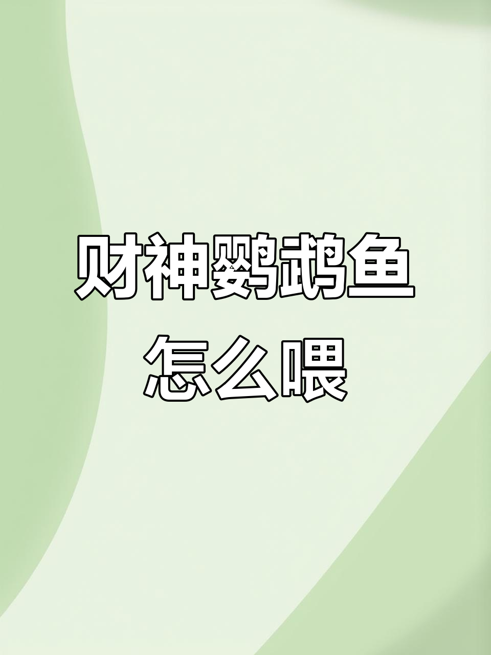 财神鹦鹉鱼喂食技巧:如何选择饲料,避免肠胃问题